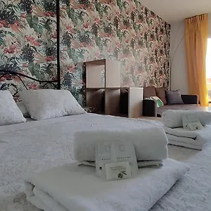Carolina Apartamento